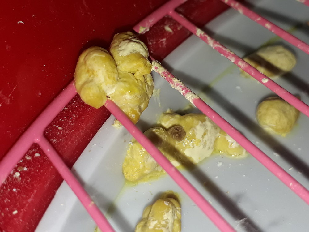 20180922_222711.thumb.jpg.aa4b2dea380ba358a79fa821237ed42d.jpg