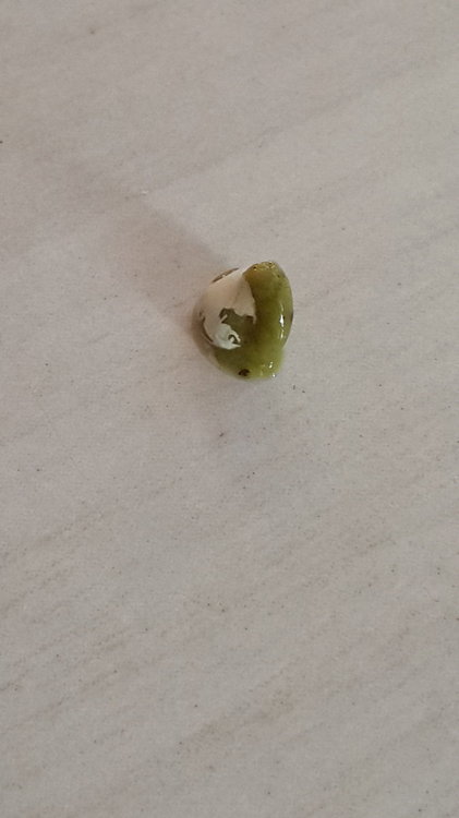 20180923_174823.jpg