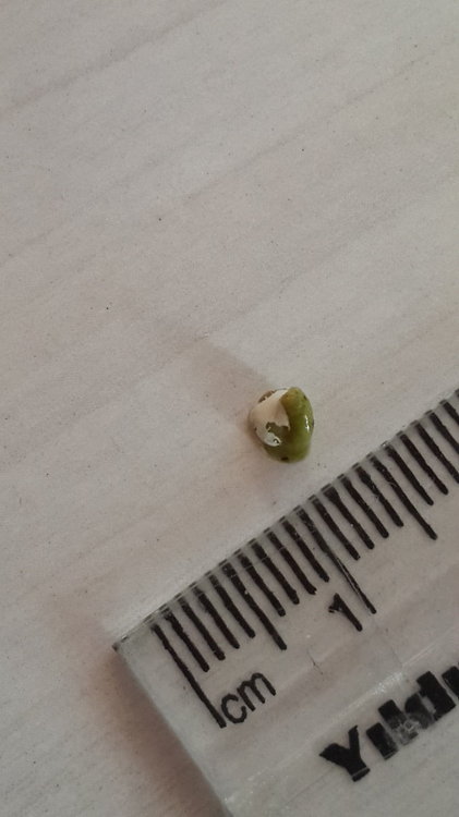 20180923_175109.jpg