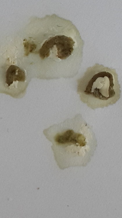 20180923_175312.jpg