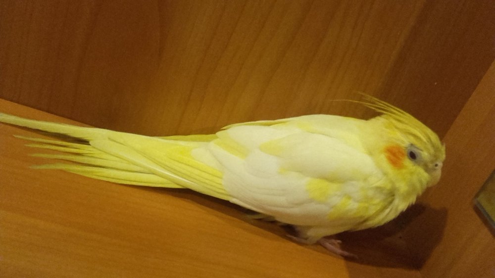 20180928_182551.jpg