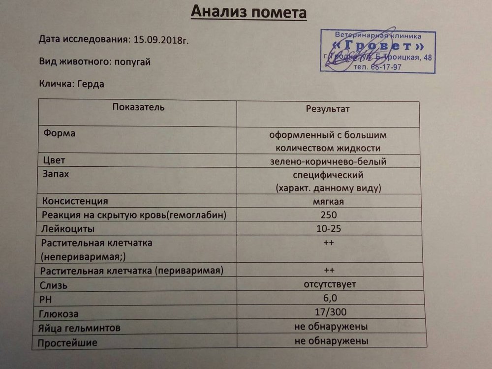 Аналз.jpg