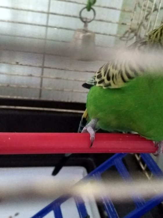 IMG_20180903_072847_HDR.jpg
