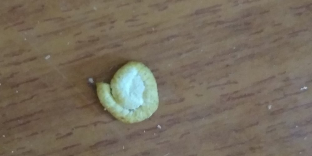 IMG_20180926_143025.jpg