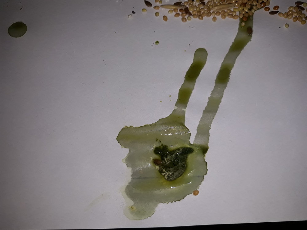 20181017_061131.jpg