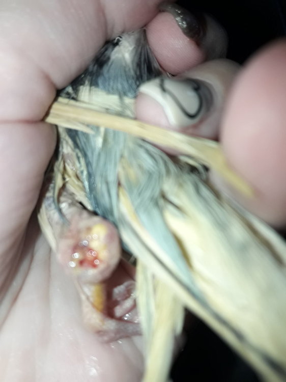 20181027_205344.jpg