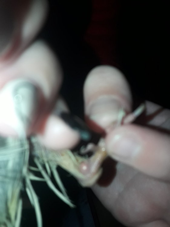 20181028_201058.jpg