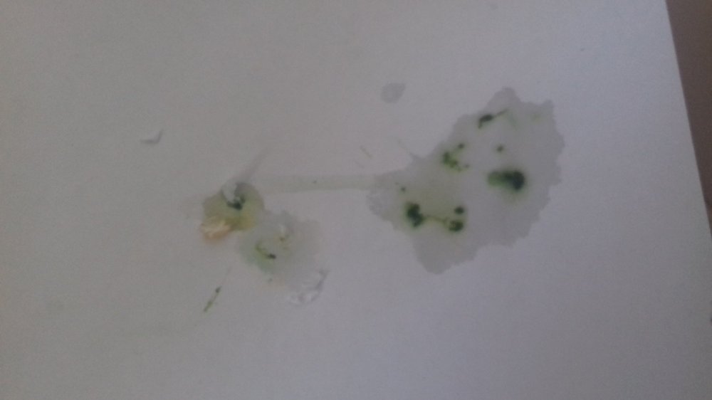 20181030_113221.jpg