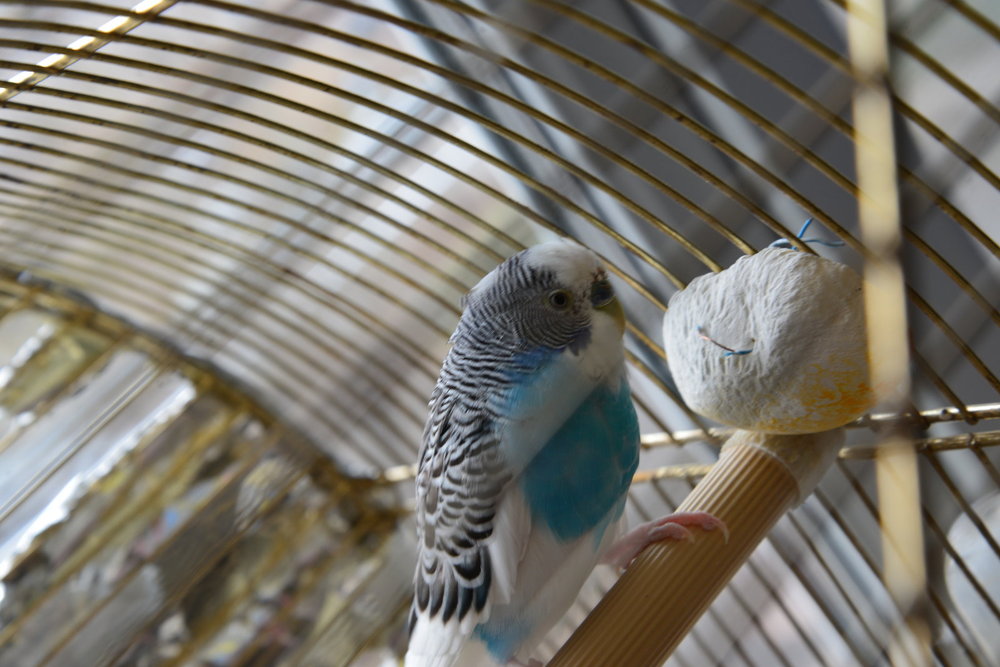 DSC_7354.JPG