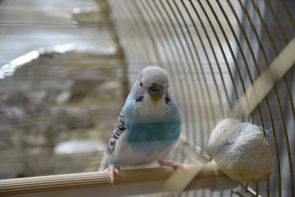 DSC_7361.JPG