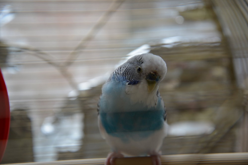 DSC_7364.JPG