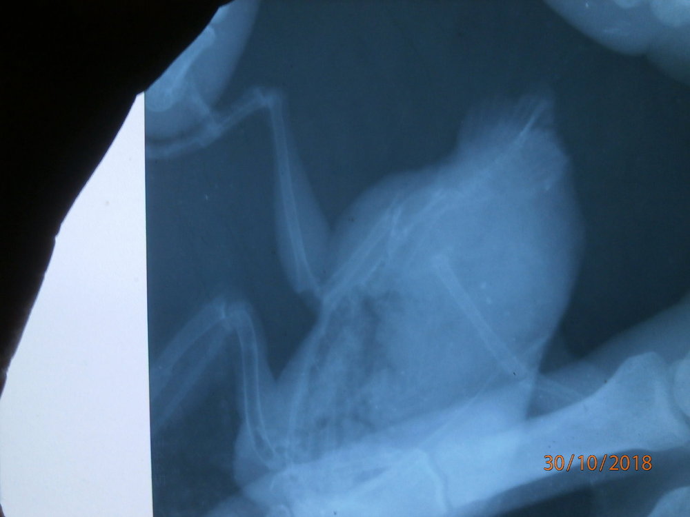 PA300134.JPG