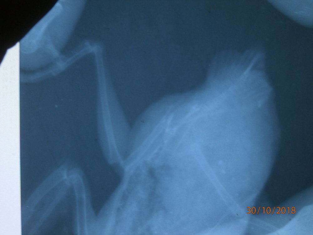 PA300135.JPG