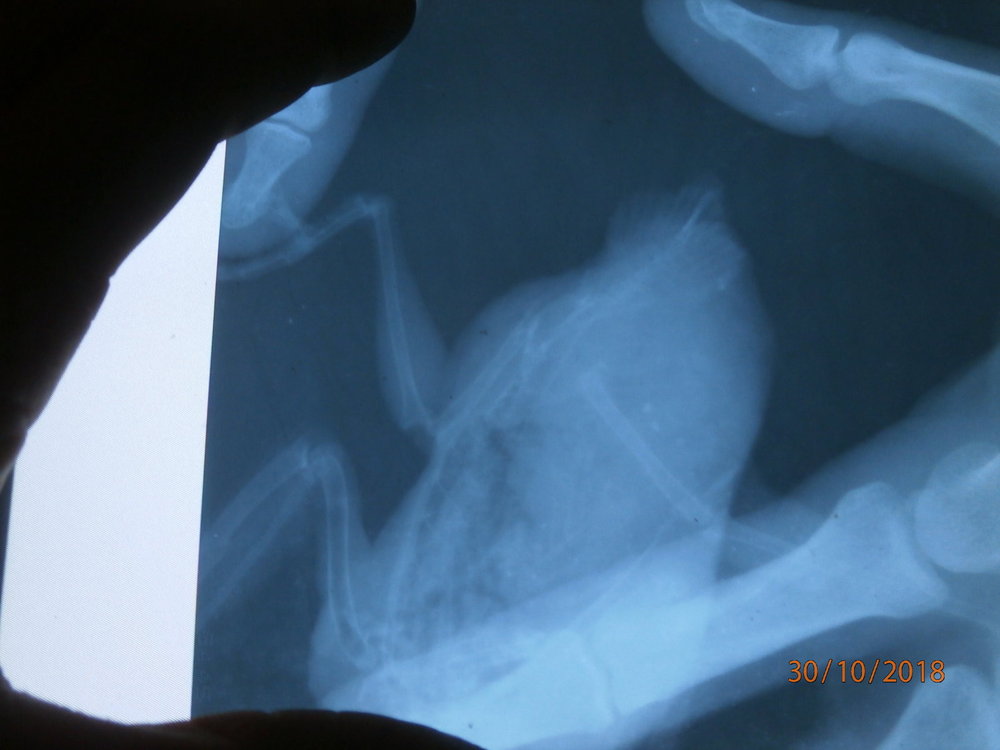 PA300136.JPG