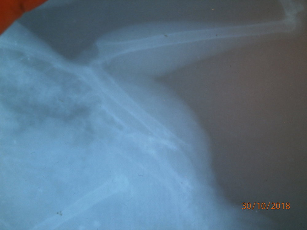 PA300137.JPG