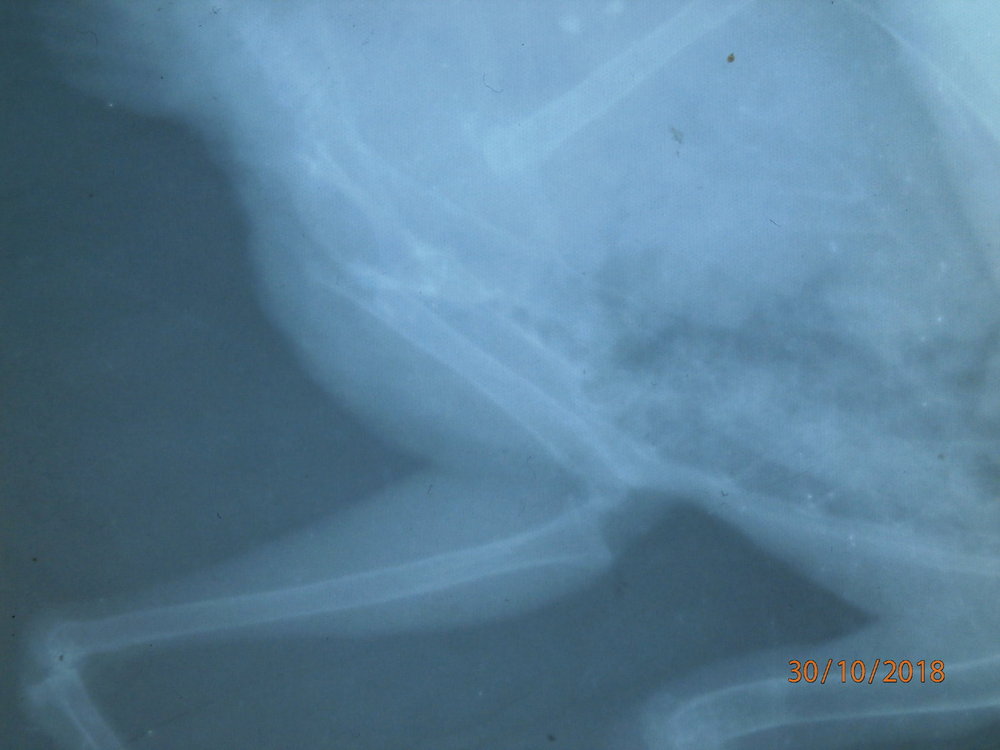 PA300139.JPG
