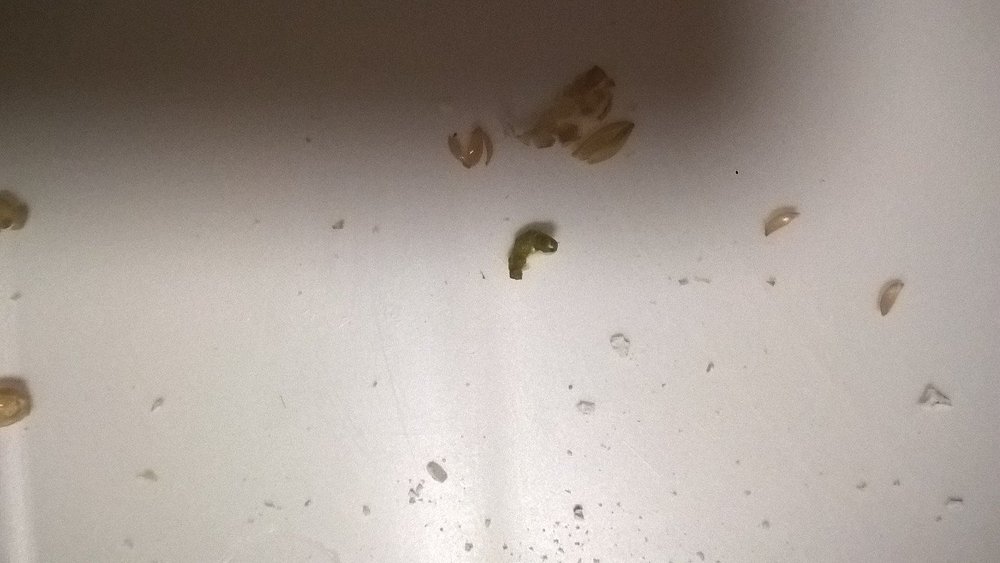 oLXx0MQX71s.jpg