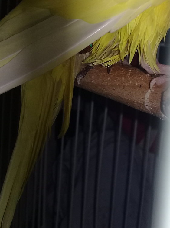 20181101_220514.jpg