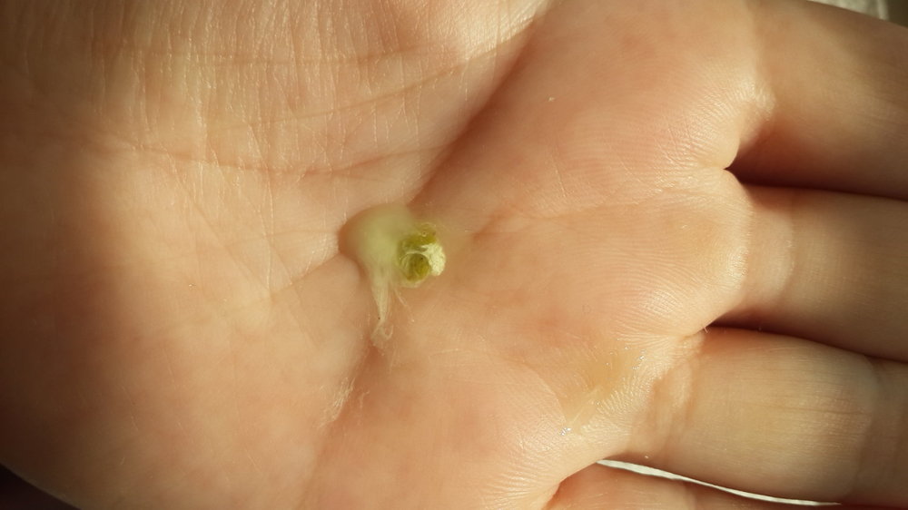 20181109_122936.jpg
