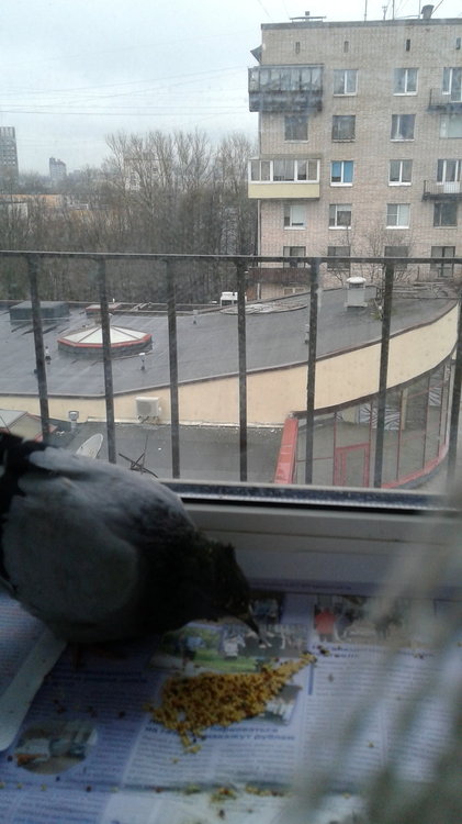 20181114_135949.jpg