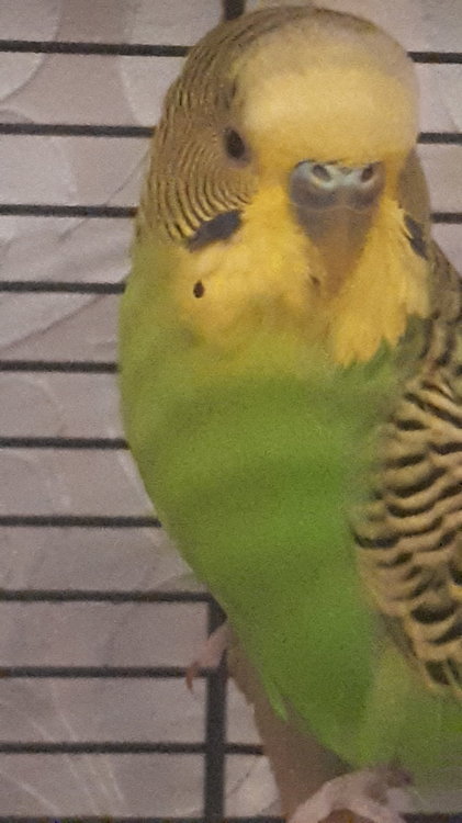20181119_201638.jpg