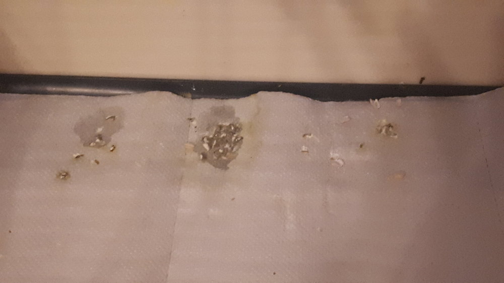 20181121_202933.jpg