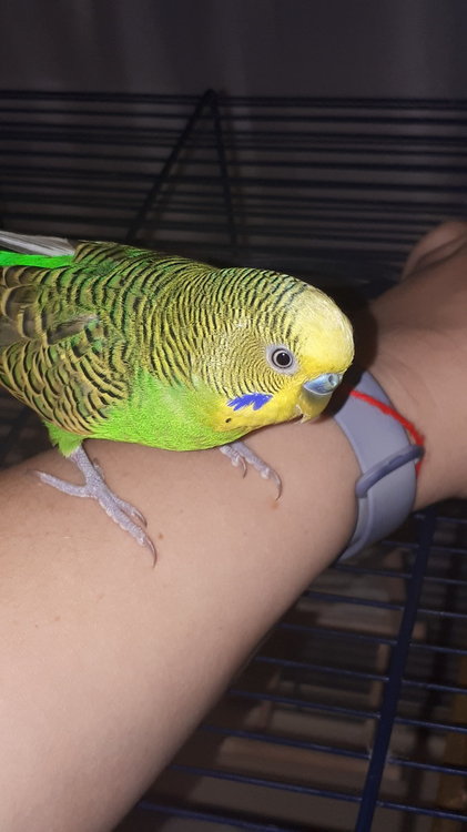 20181121_204930.jpg