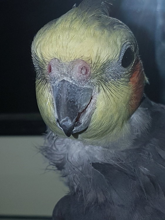 20181126_203347.jpg