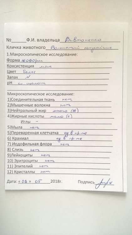капрология май.jpg