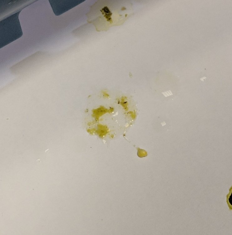IMG_20181128_084126.thumb.jpg.cab90caf0e619951b981a8fc0a7fd418.jpg