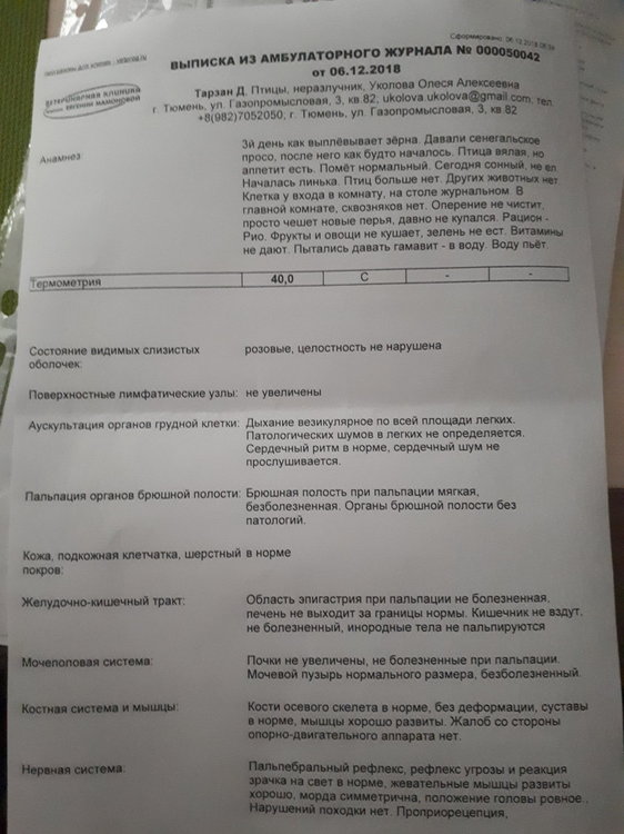 20181206_133247.jpg