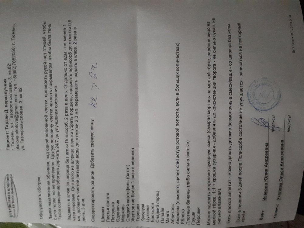 20181206_133305.jpg