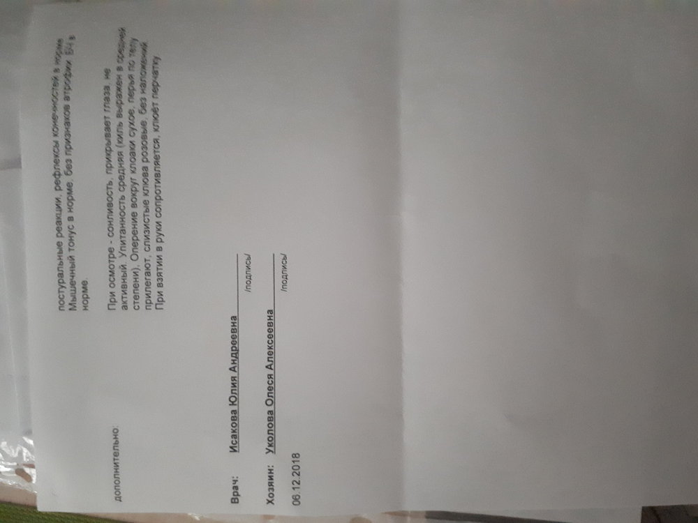 20181206_133404.jpg