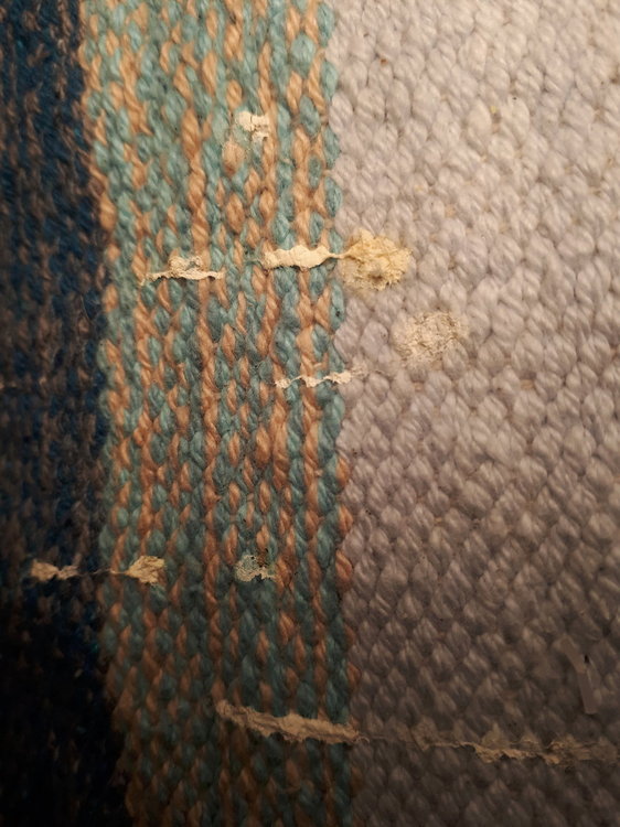 20181207_174703.jpg