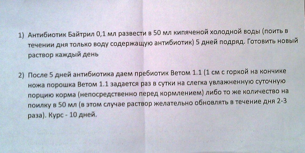 Photo-0007 - 2.jpg