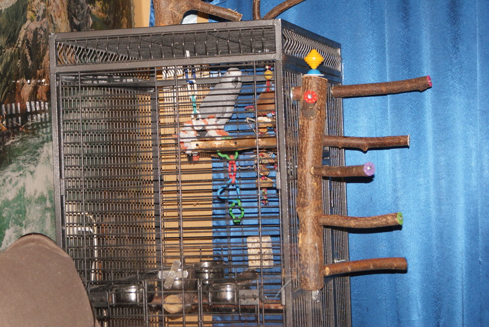 DSC06562.JPG