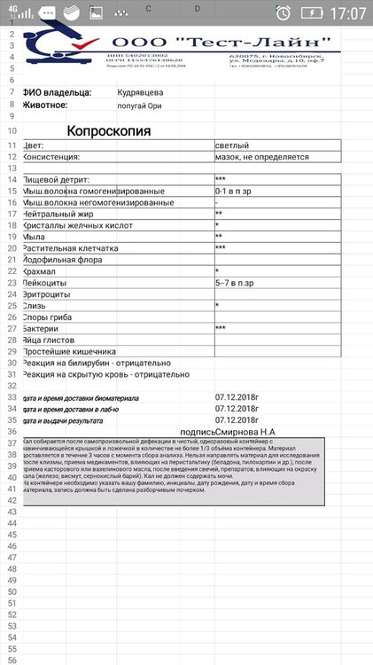 IMG-20181207-WA0019.jpg