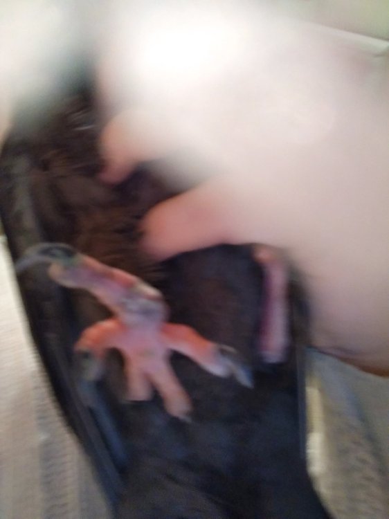 IMG_20181202_201221.jpg