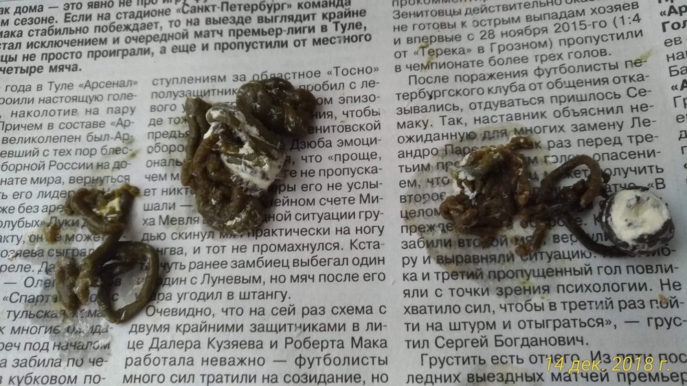 P_20181214_102017_vHDR_On.jpg