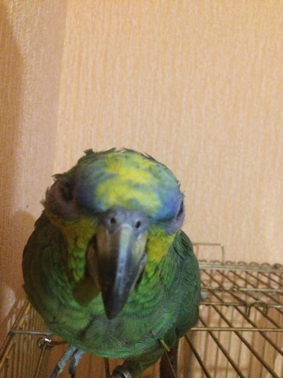 signal-2018-12-30-142409.jpeg