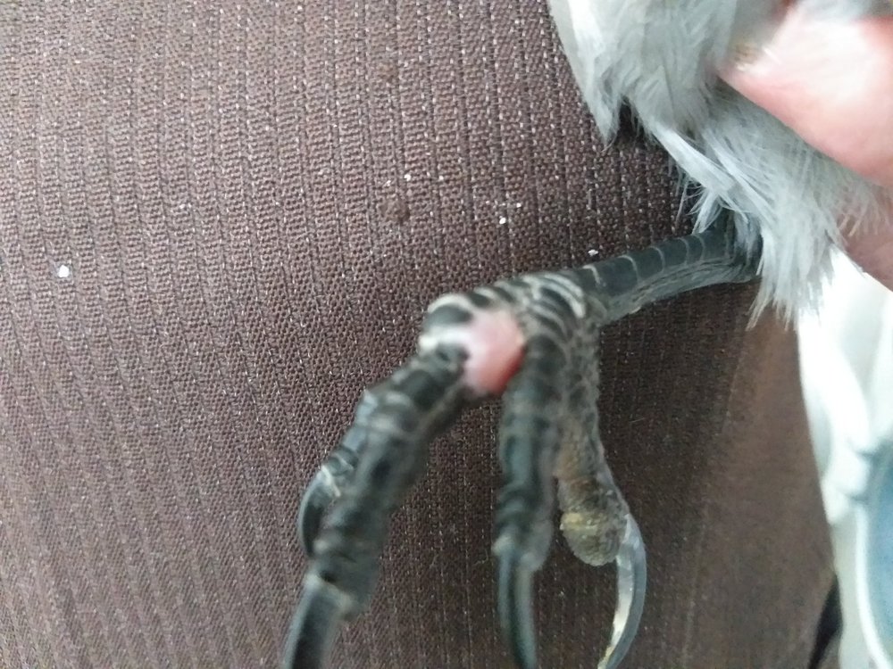 20190102_104207.jpg