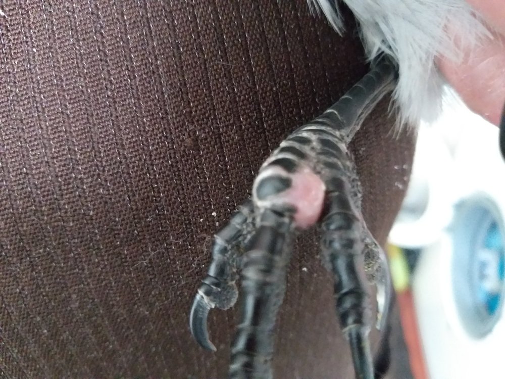 20190102_104413.jpg
