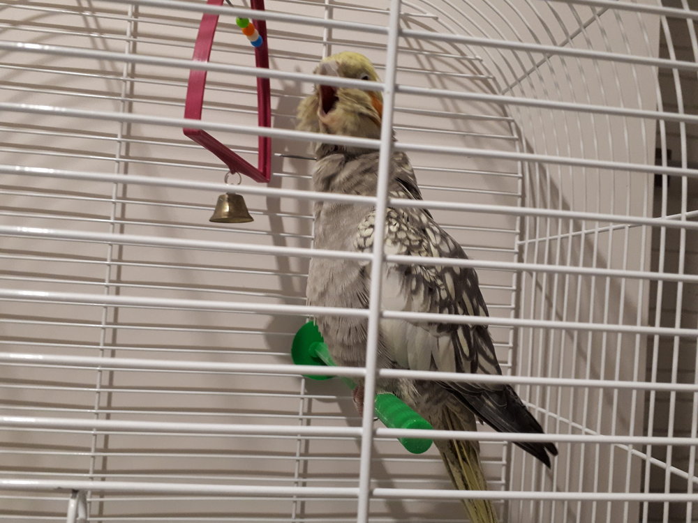 20190109_172237.jpg