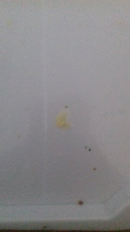 20190126_120304.jpg