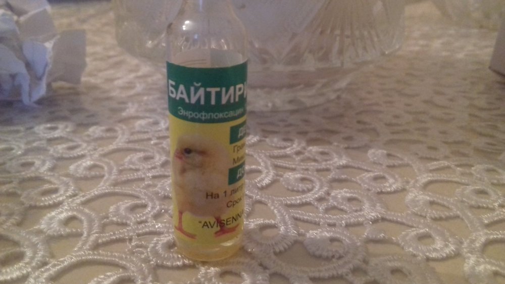 20190131_095348.jpg