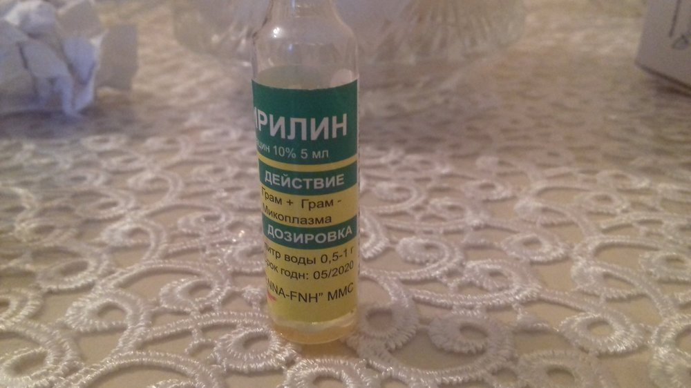 20190131_095356.jpg