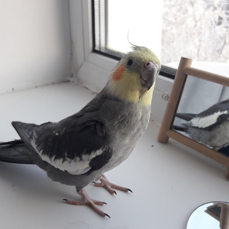 20190201_104717.jpg