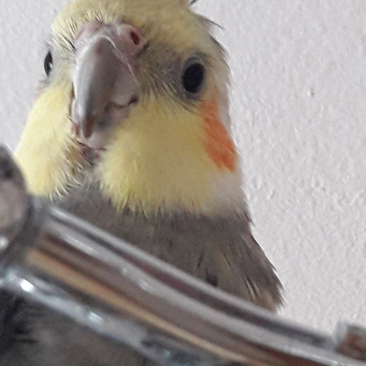 20190201_104949.jpg