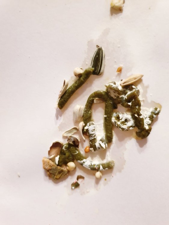 20190208_183207.jpg