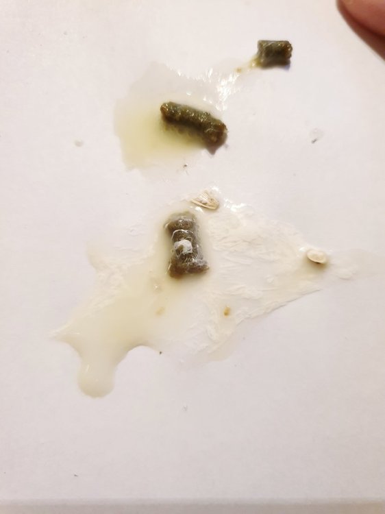 20190208_184123.jpg